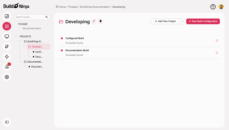 pin-project-interface