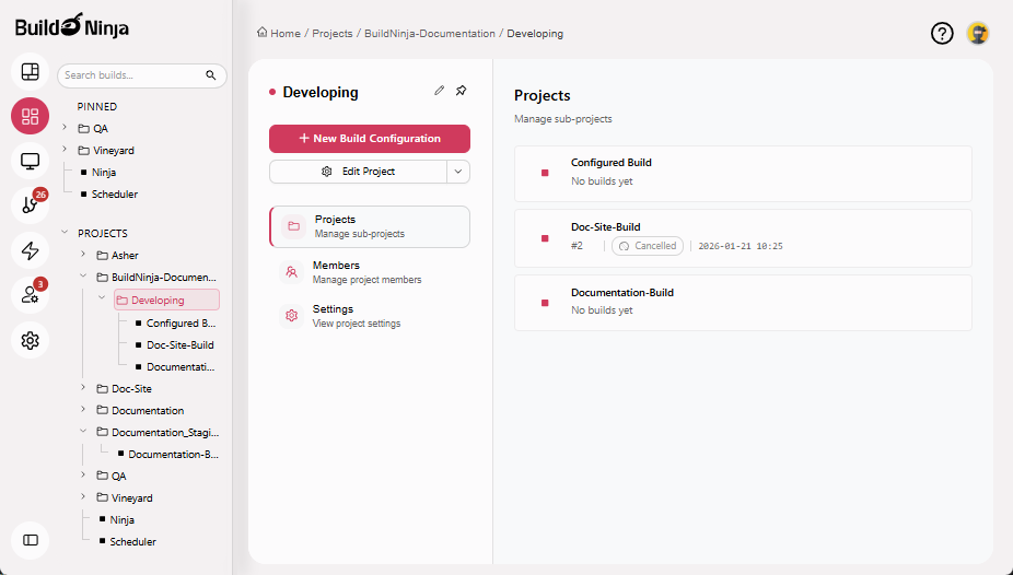 pin-project-interface